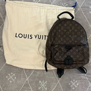 Louis Vuitton Palm Springs MM backpack